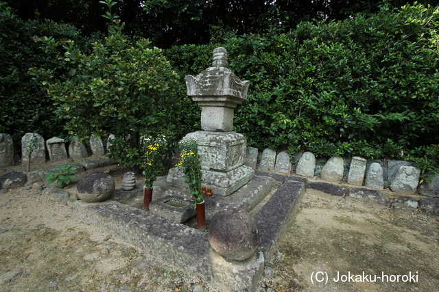 摂津 普門寺城の写真