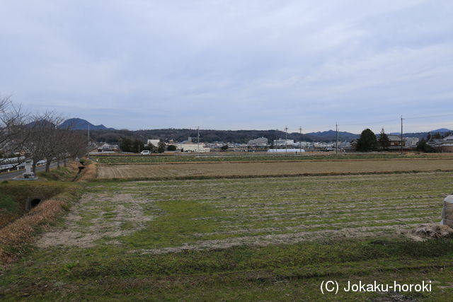 摂津 稲田城の写真
