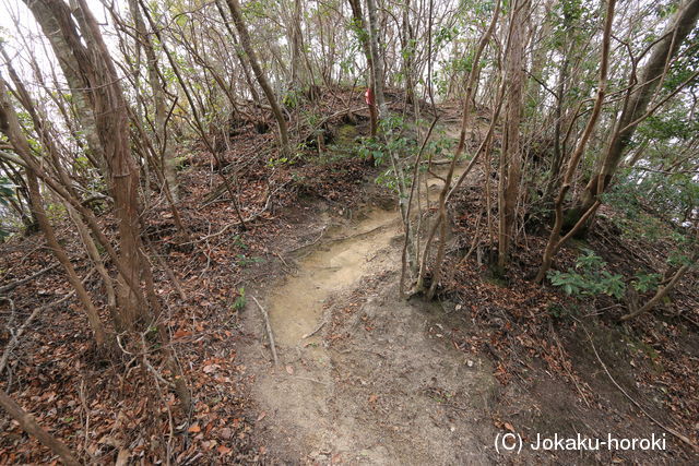 摂津 香下城(甚五郎山)の写真