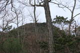 摂津 香下城(甚五郎山)の写真