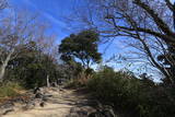 摂津 香下城(羽束山)の写真