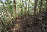 摂津 香下城(羽束山)の写真