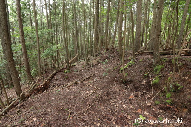 摂津 片山城の写真