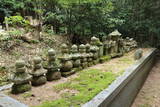 摂津 片山城の写真
