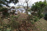 摂津 貴志城の写真