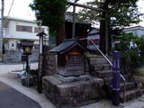 摂津 小浜城の写真