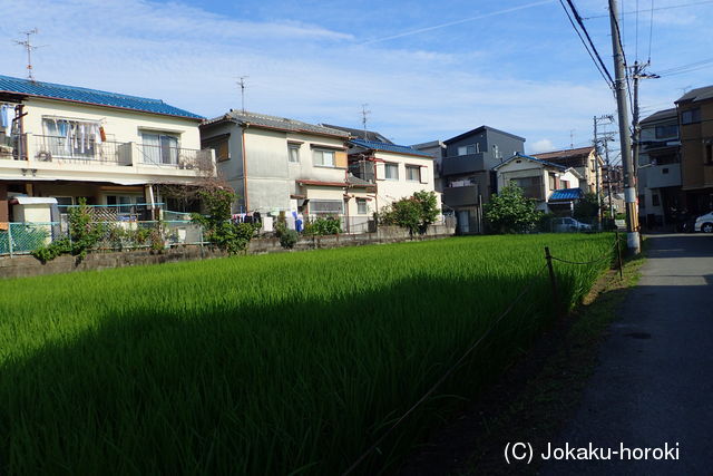 摂津 松永屋敷の写真