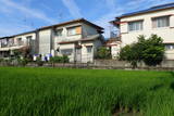 摂津 松永屋敷の写真