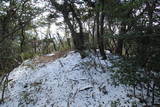 摂津 摩耶山城の写真