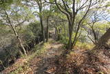摂津 上野塞の写真