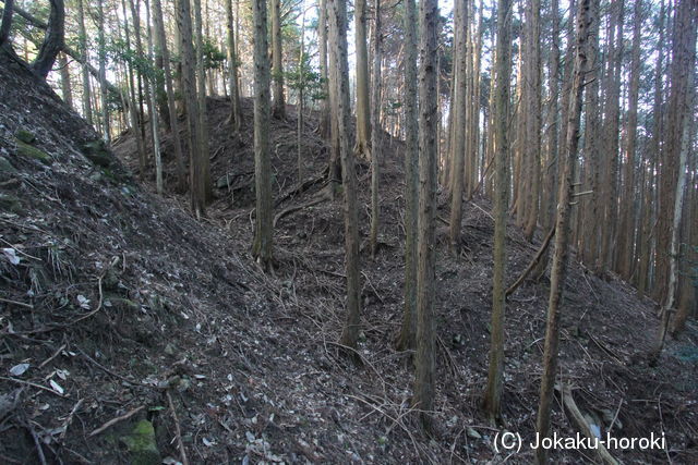 摂津 野間城の写真