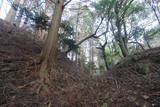 摂津 野間城の写真
