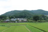 摂津 田尻城の写真