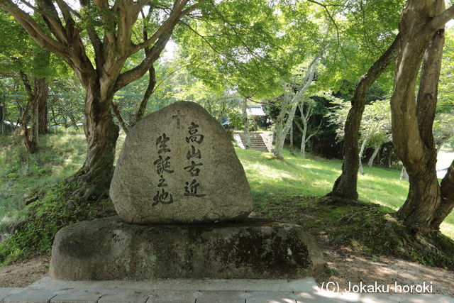 摂津 高山城の写真