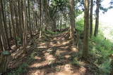 摂津 高山城の写真