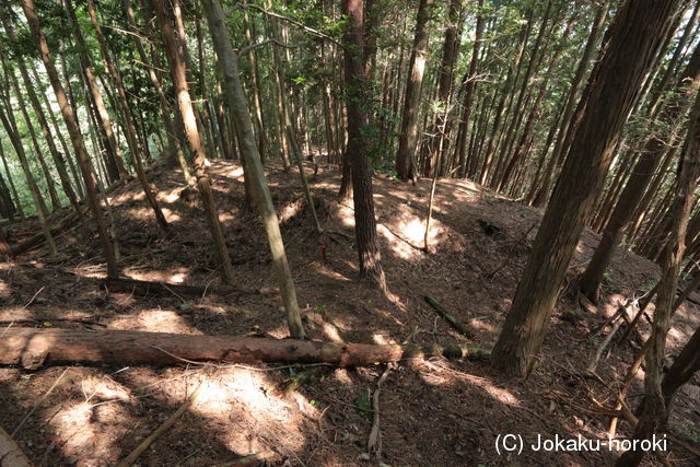 摂津 高山向山城の写真