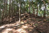 摂津 高山向山城の写真