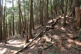 摂津 高山向山城の写真