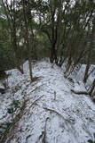 摂津 滝山城の写真