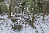 摂津 滝山城の写真