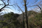 摂津 滝山城の写真