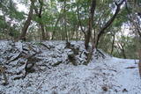 摂津 滝山城の写真