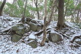 摂津 滝山城の写真