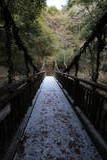 摂津 滝山城の写真