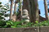 摂津 塚口城の写真