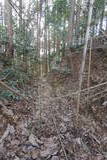 摂津 上杉城の写真