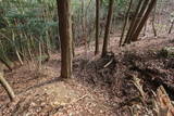 摂津 山辺城の写真