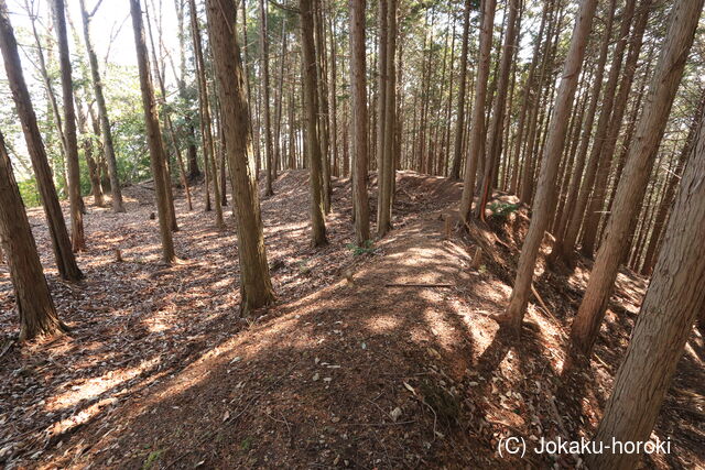 摂津 山田城(能勢町)の写真