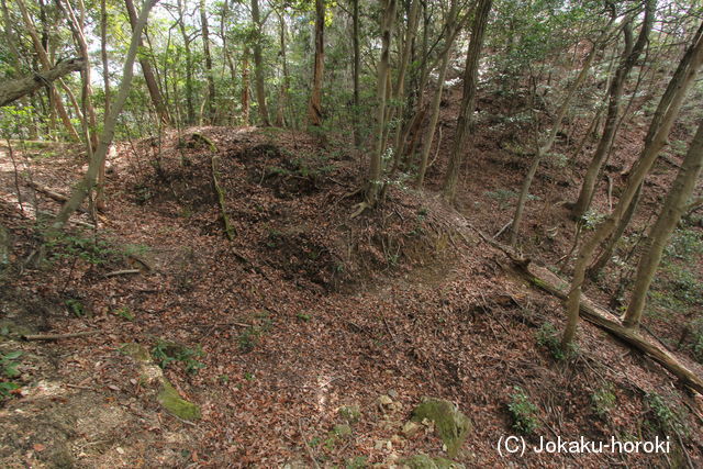 摂津 山下城(古城山)の写真