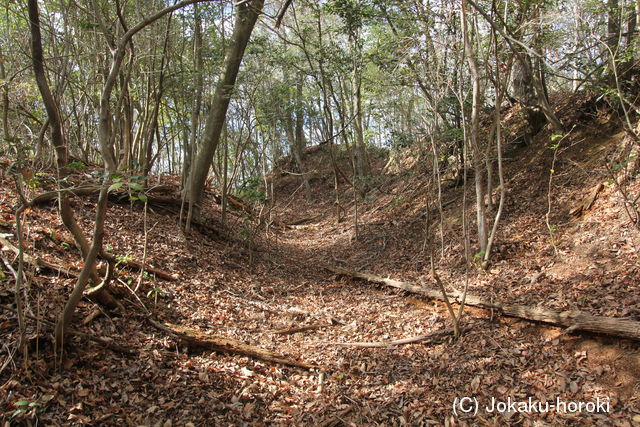 摂津 山下城(向山)の写真