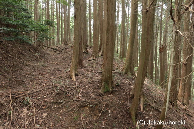 摂津 余野本城の写真