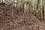 摂津 余野本城の写真