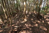 摂津 余野本城の写真