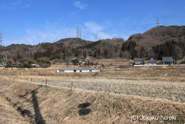 摂津 吉野城の写真