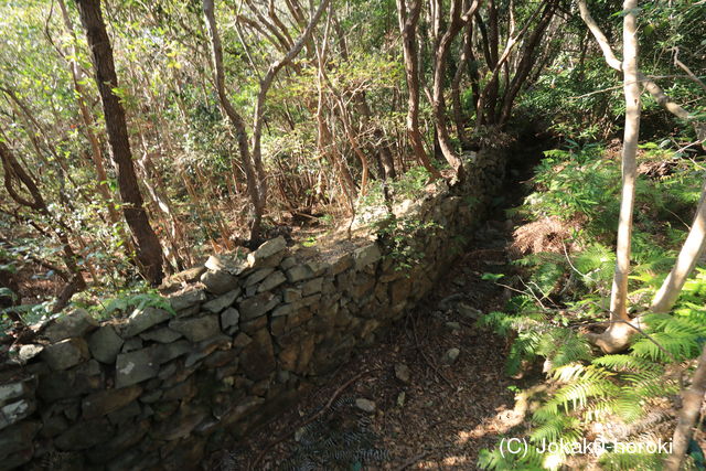 志摩 崎山城の写真