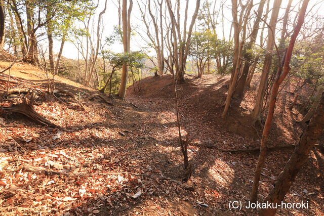 下野 阿土山城の写真