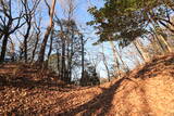 下野 阿土山城の写真