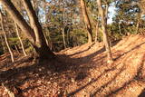 下野 阿土山城の写真