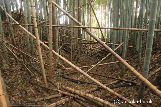 下野 赤埴城の写真