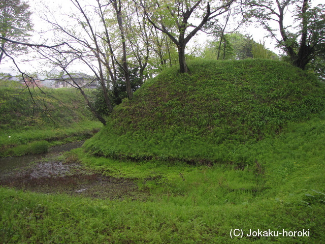 下野 赤見城の写真