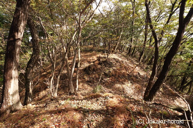 下野 赤見駒場城の写真