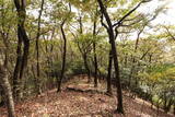下野 赤見駒場城の写真