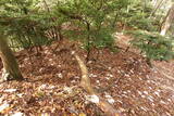 下野 赤見駒場城の写真