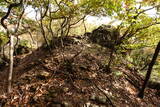 下野 赤見駒場城の写真