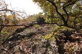 下野 赤見駒場城の写真