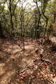 下野 赤見駒場城の写真